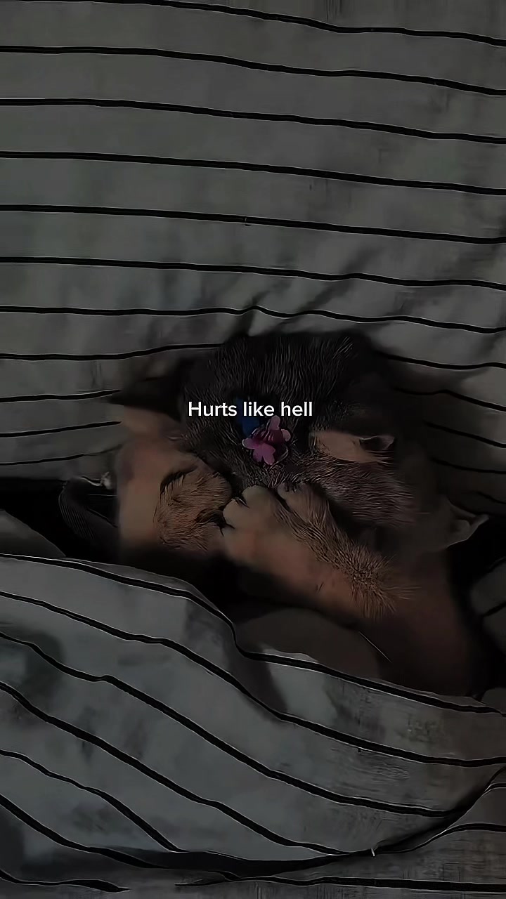 @𝟒𝟎𝟒 𝐇𝐄𝐀𝐋𝐘𝐑𝐈𝐂