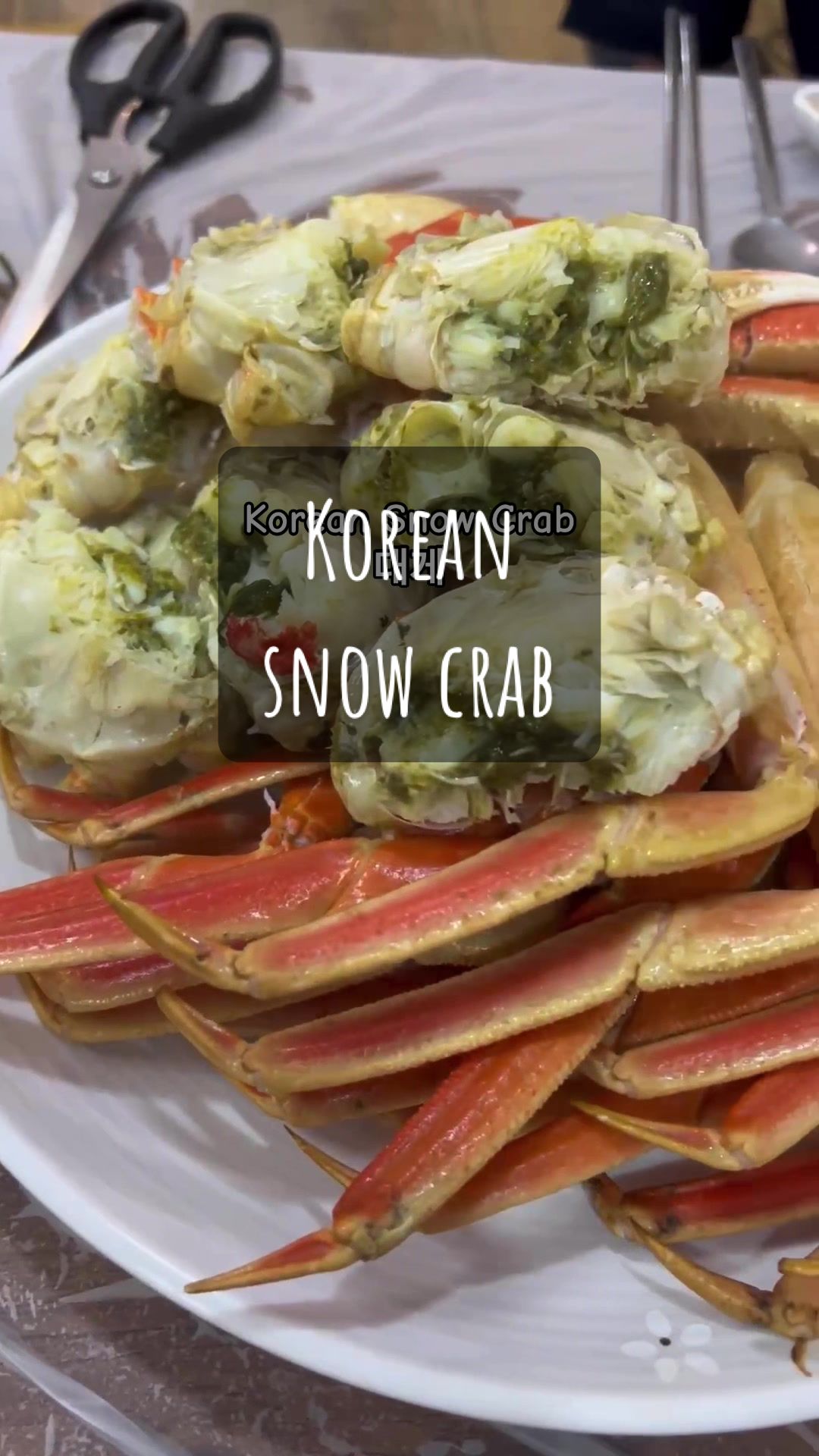@NepaliSeoul
