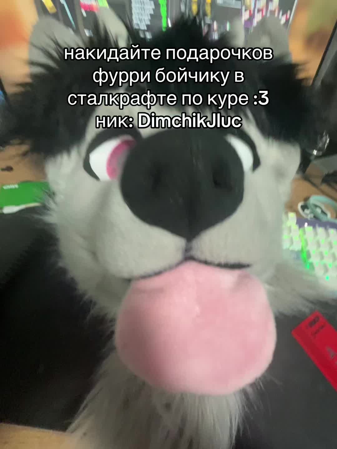 @фыркалко 🐾