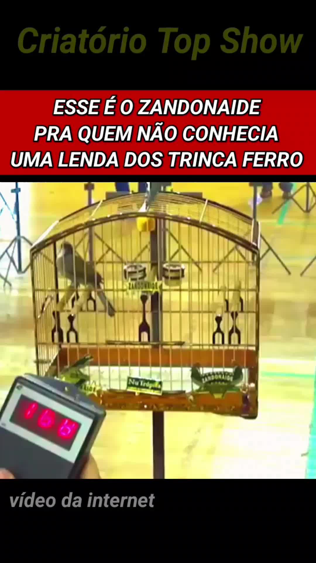 @criat&oacute;rio Top show