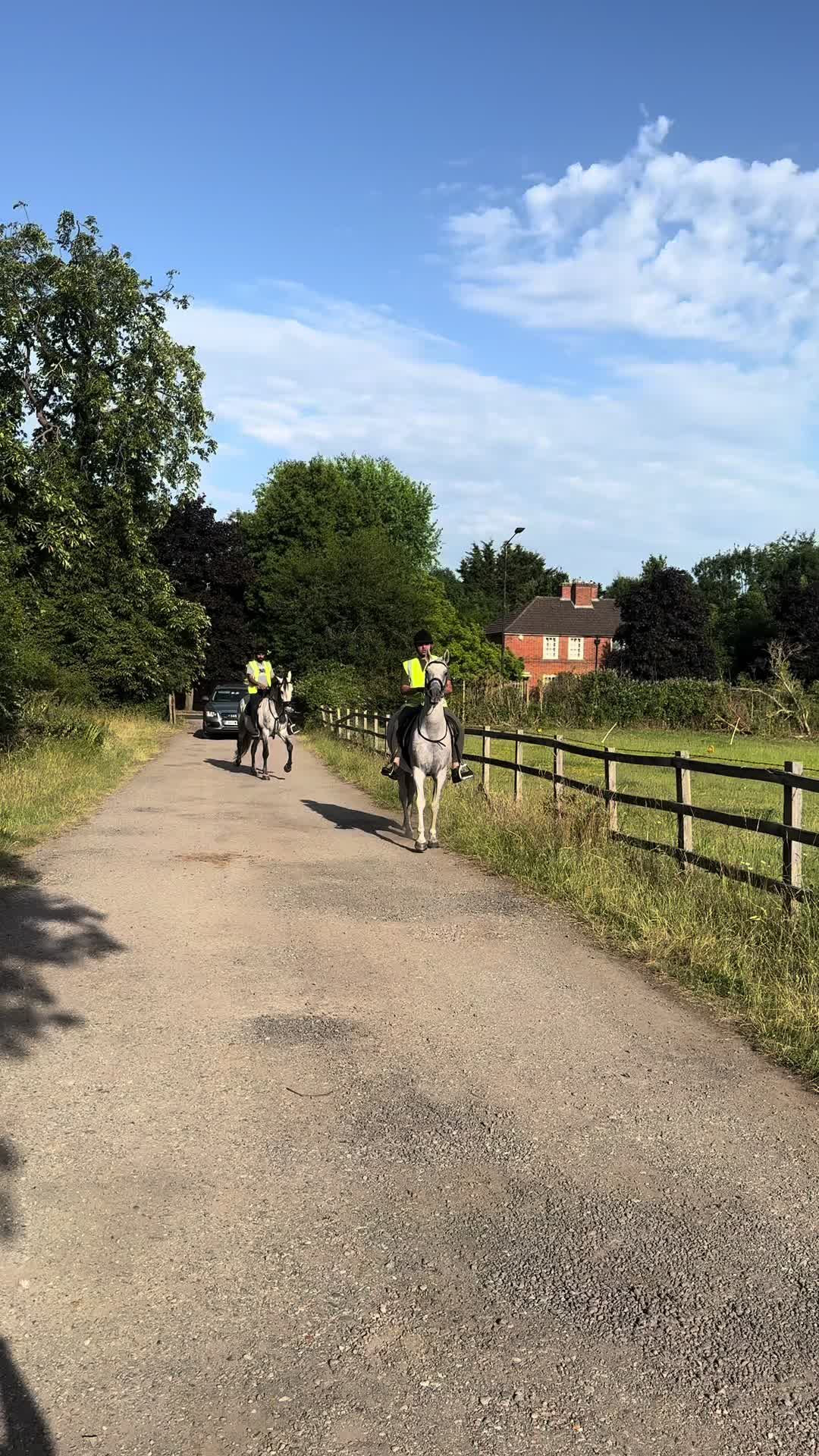 @Slough horses