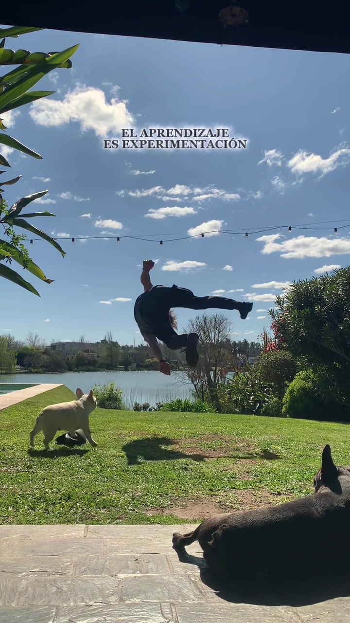 @Drag&oacute;n Blanco