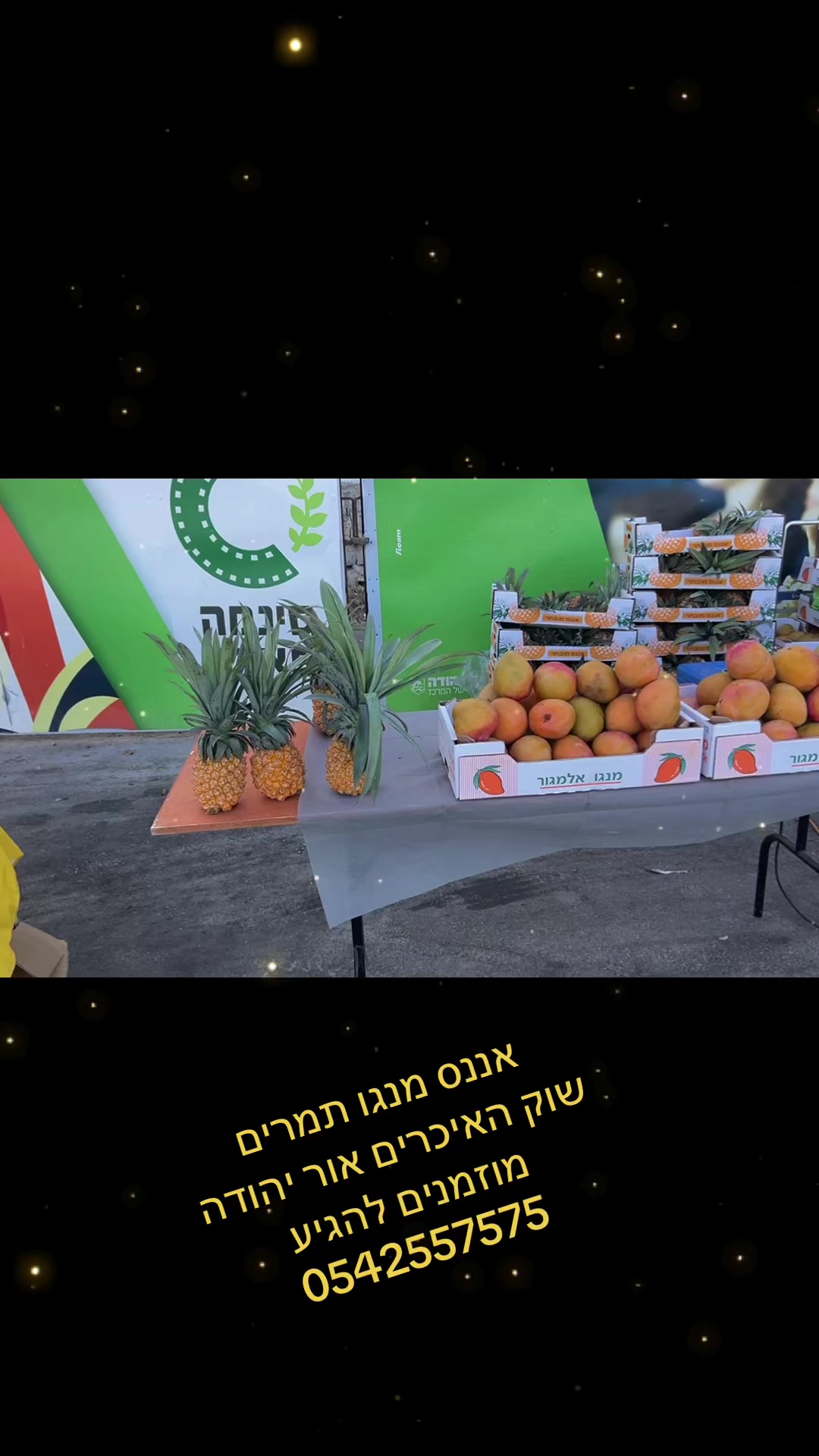 @Oz Kashani