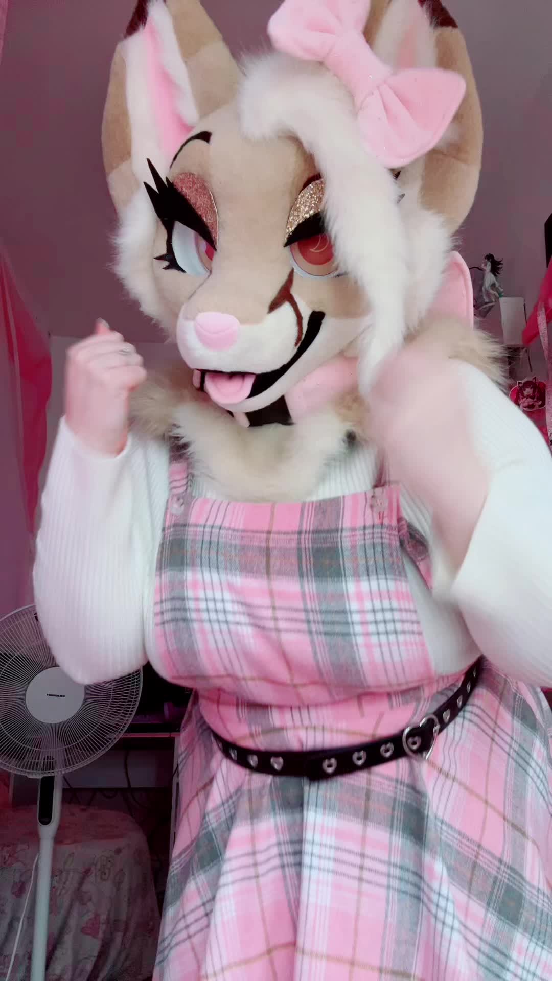 @🤍🎀 𝓐𝓷𝓰𝓮𝓵 🎀🤍CFZ2026