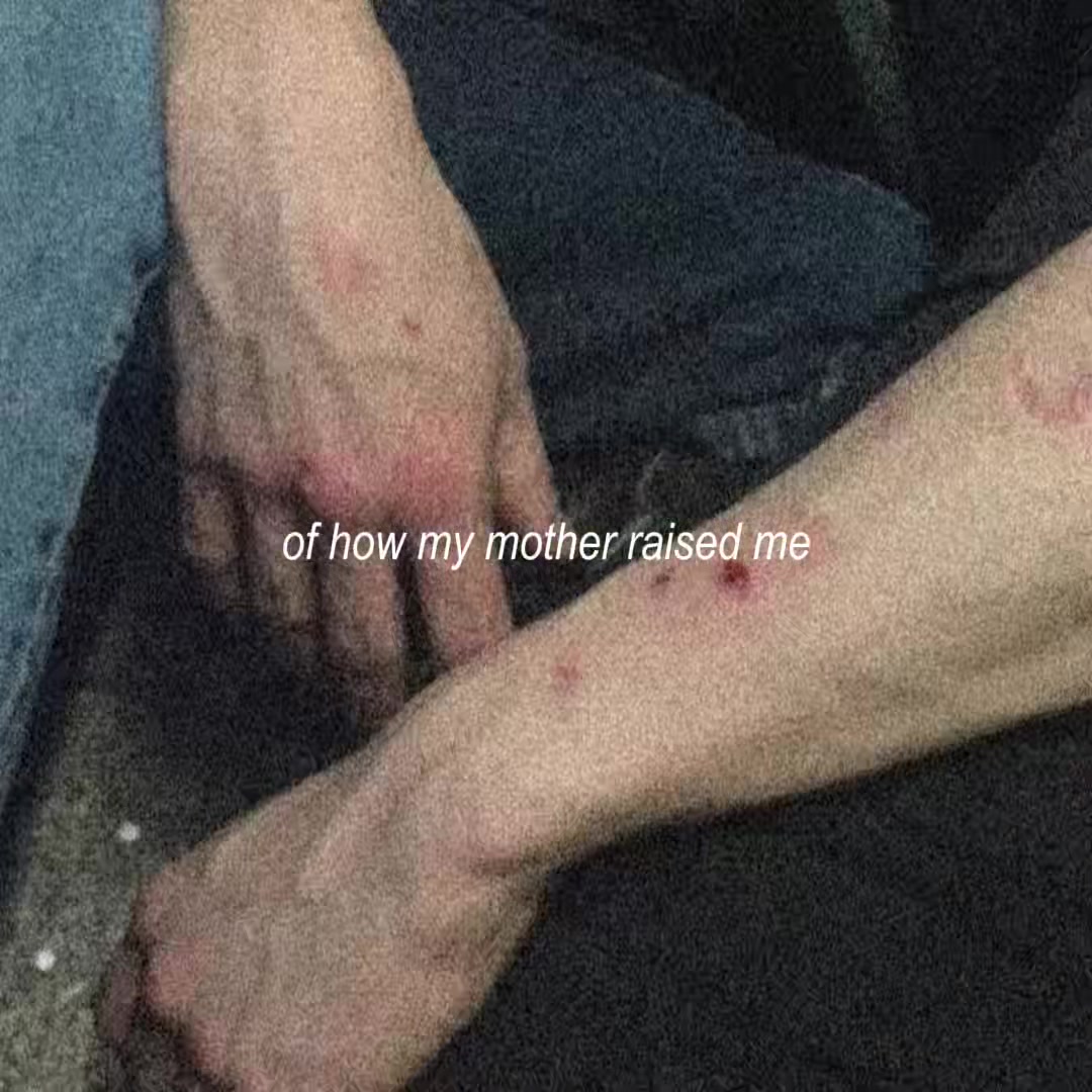 @𝐬𝐭𝐞𝐥𝐥𝐚 ⋆˚࿔