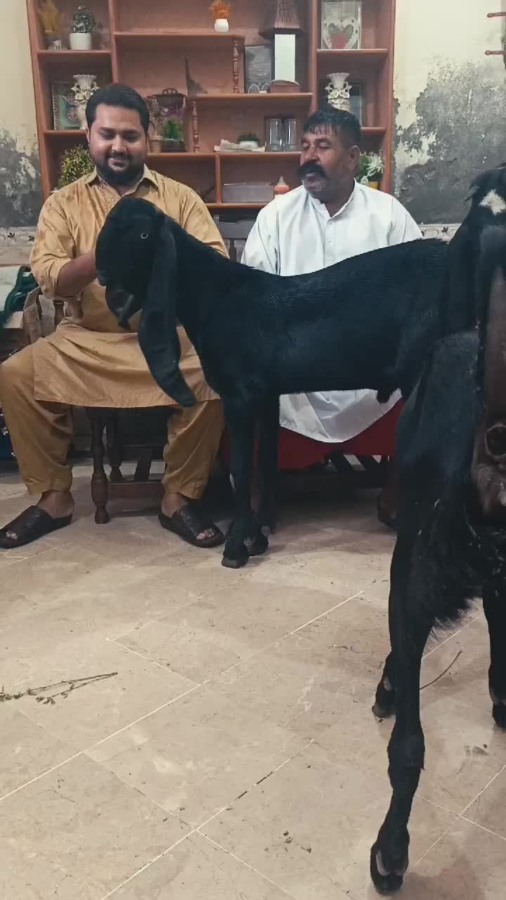 @Sufyan Gujjar