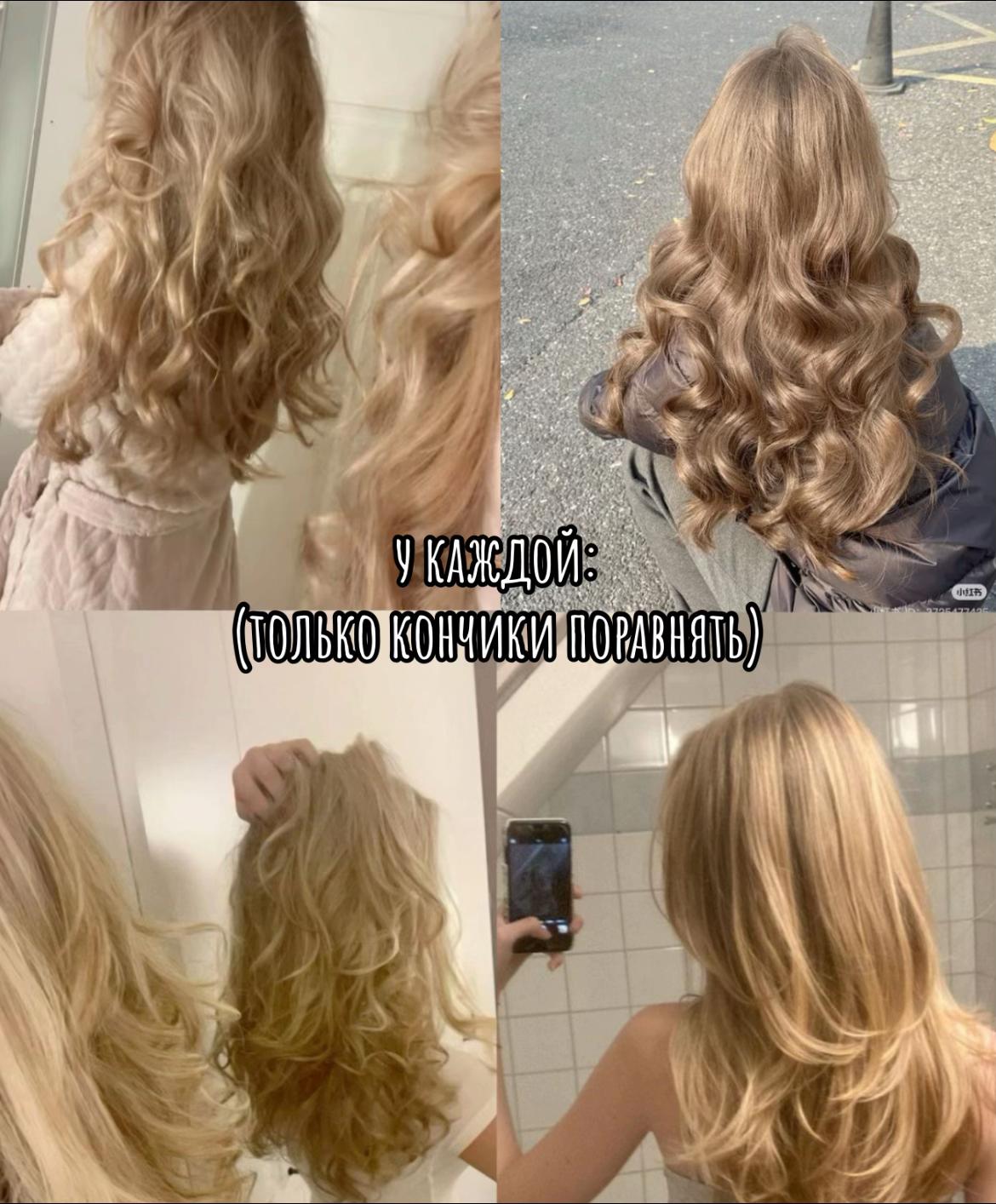 @𝓐𝓼𝔂𝓪~