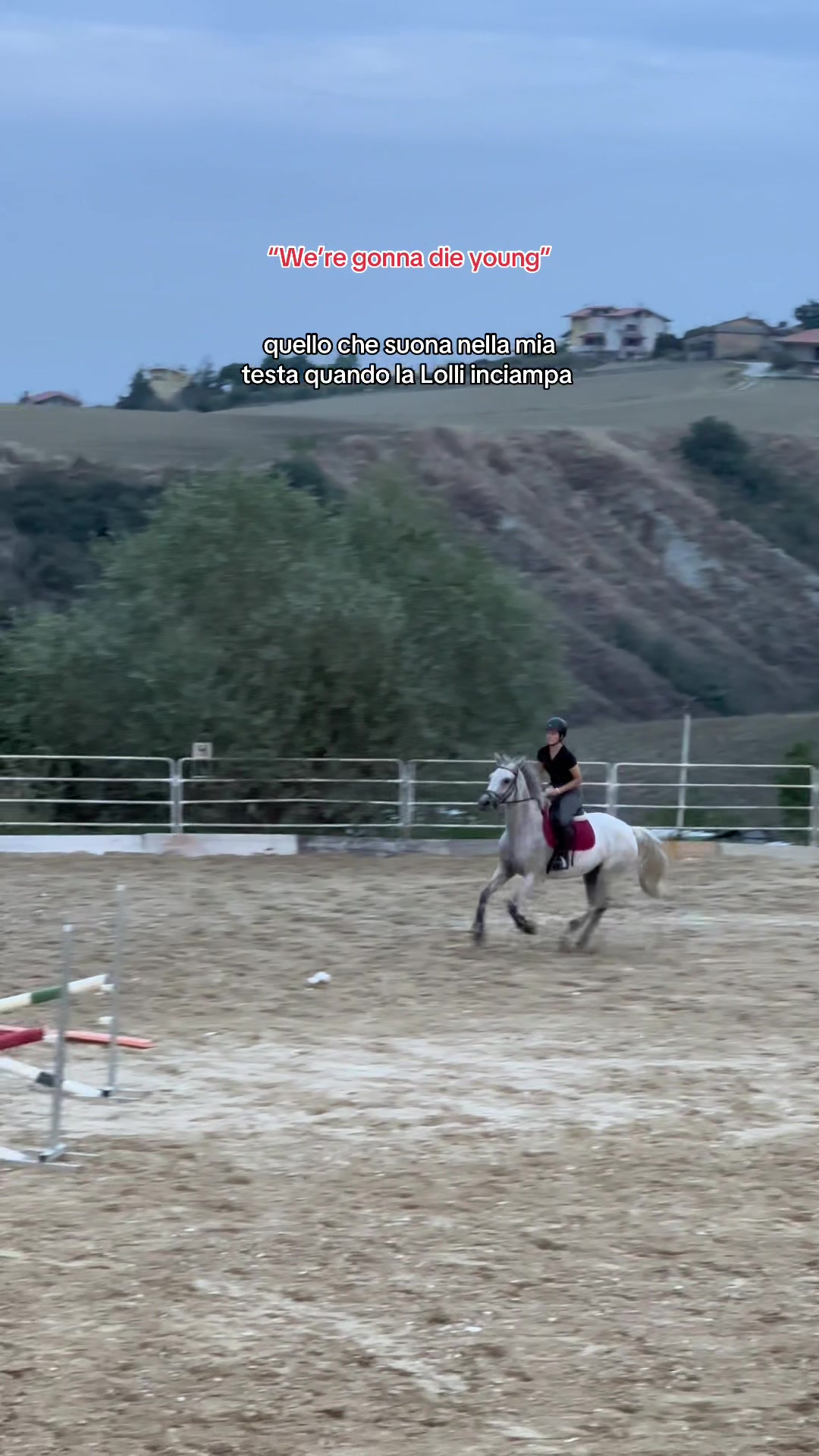 @equestrian_ale