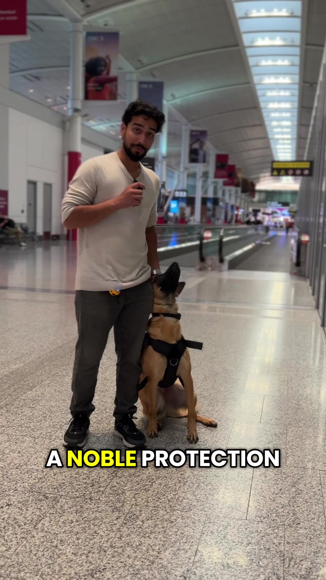 @Noble K9
