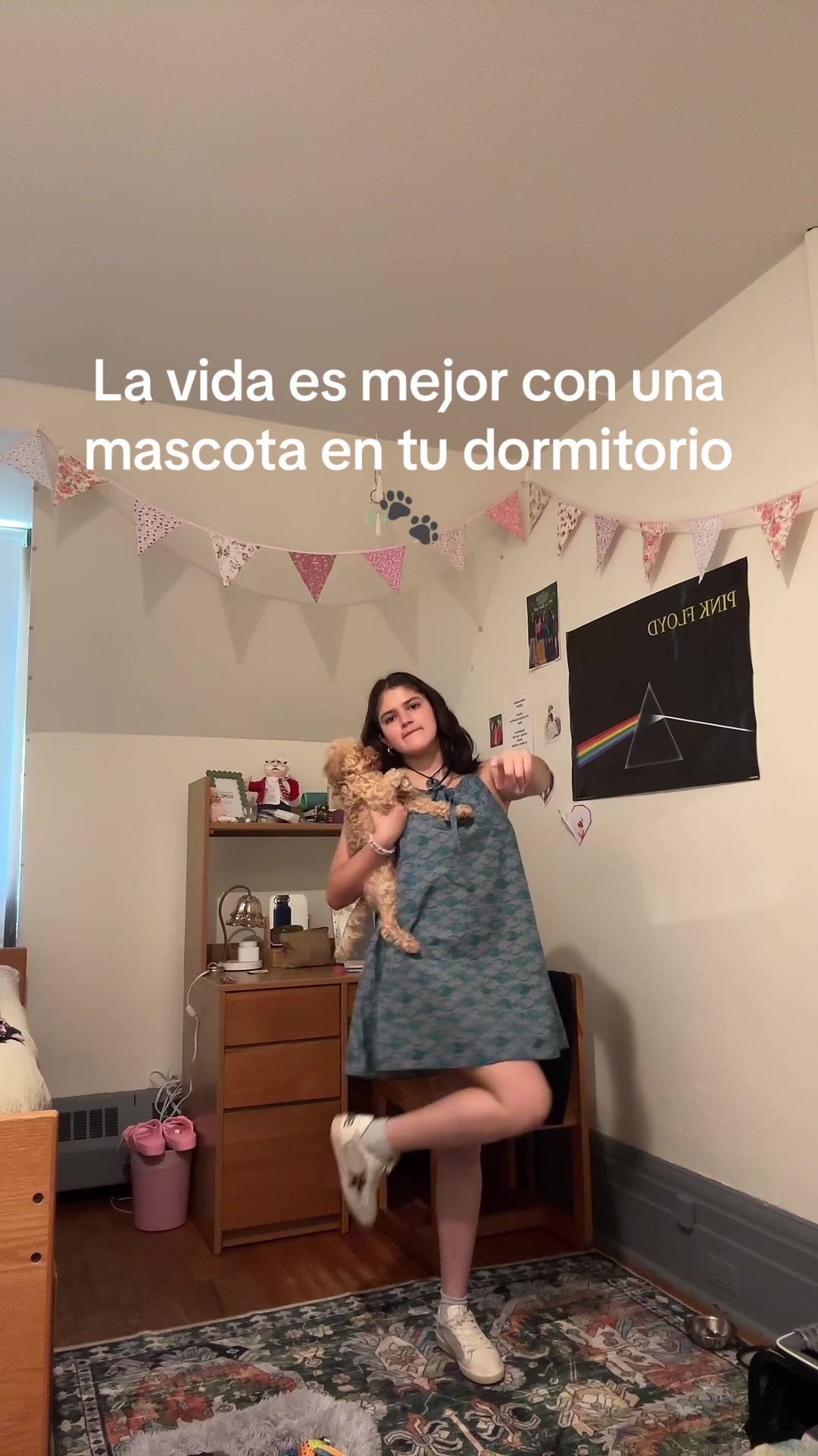 @nat