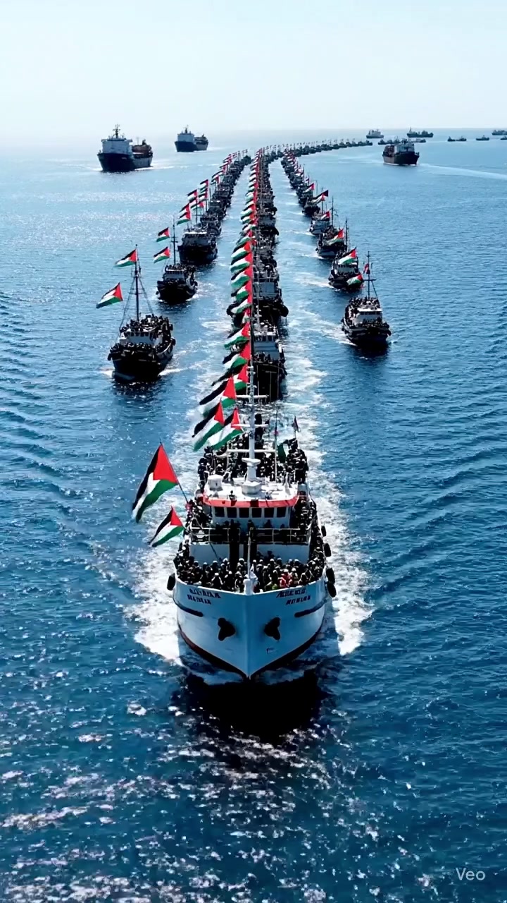 @نسيم   🇩🇿 NASSIIMM