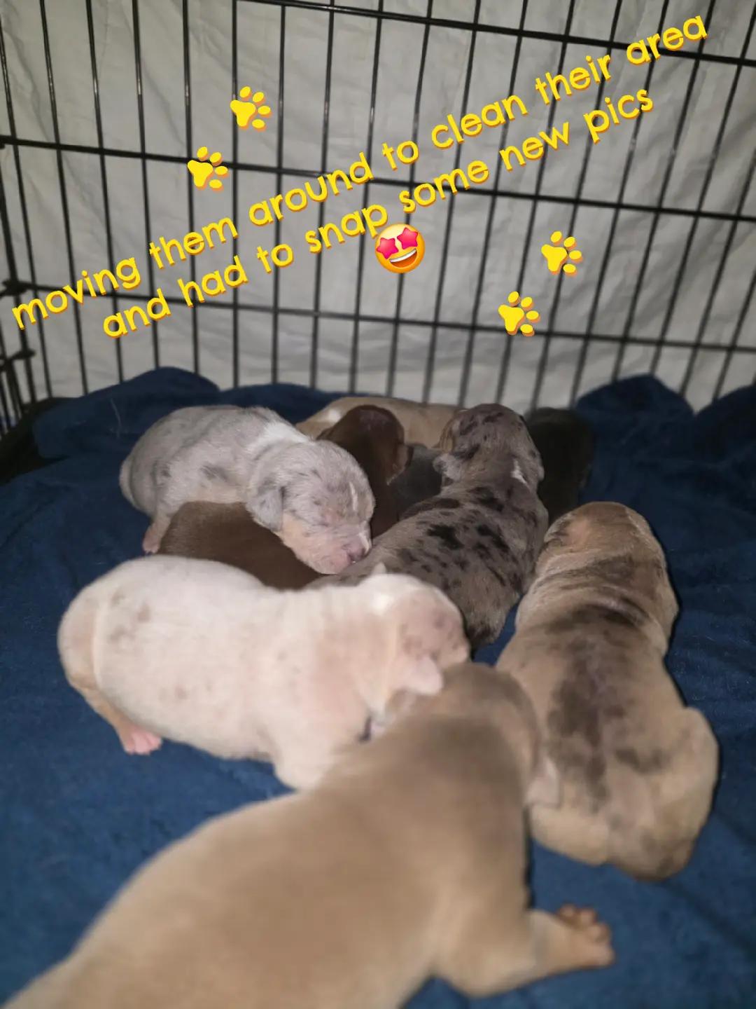 @Hera_The_Bully