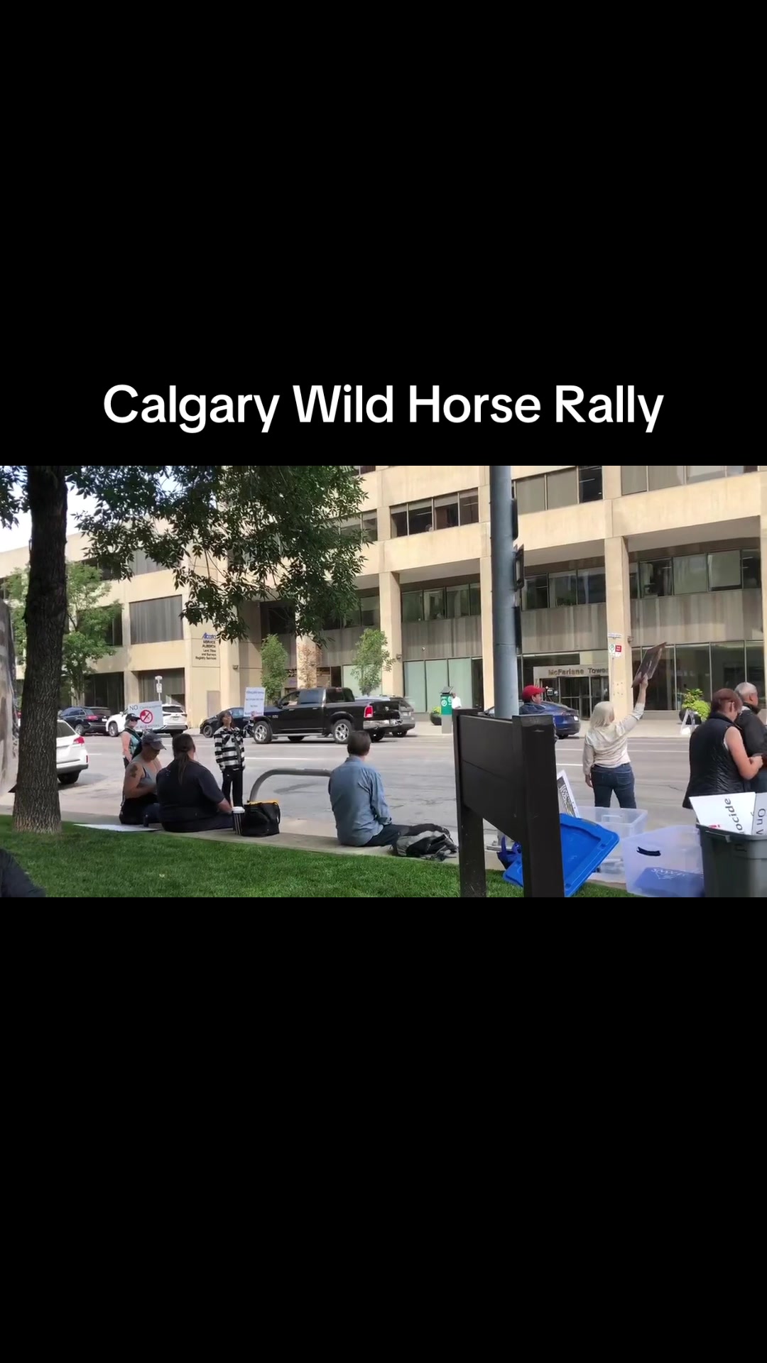 @Alberta Pulse