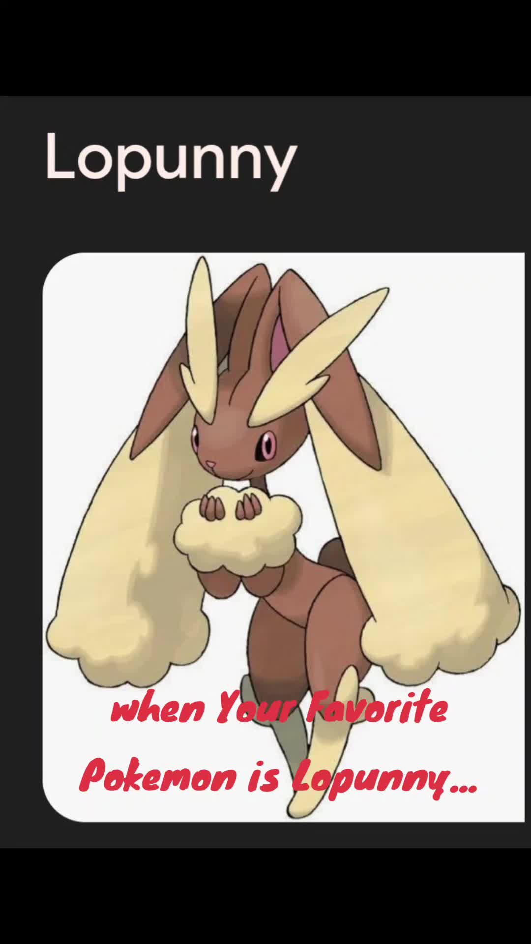 @Naru Bunny