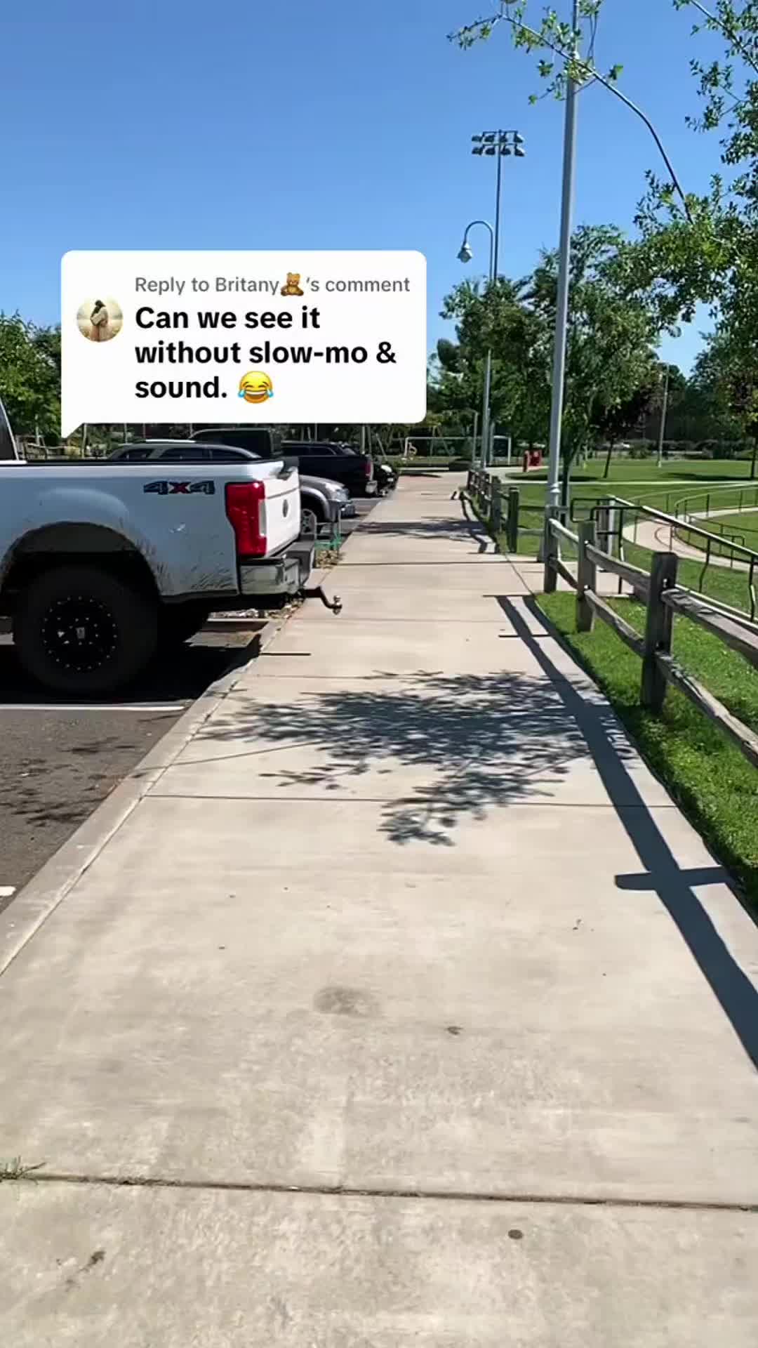 @Animal tok 🐅🦁🦊