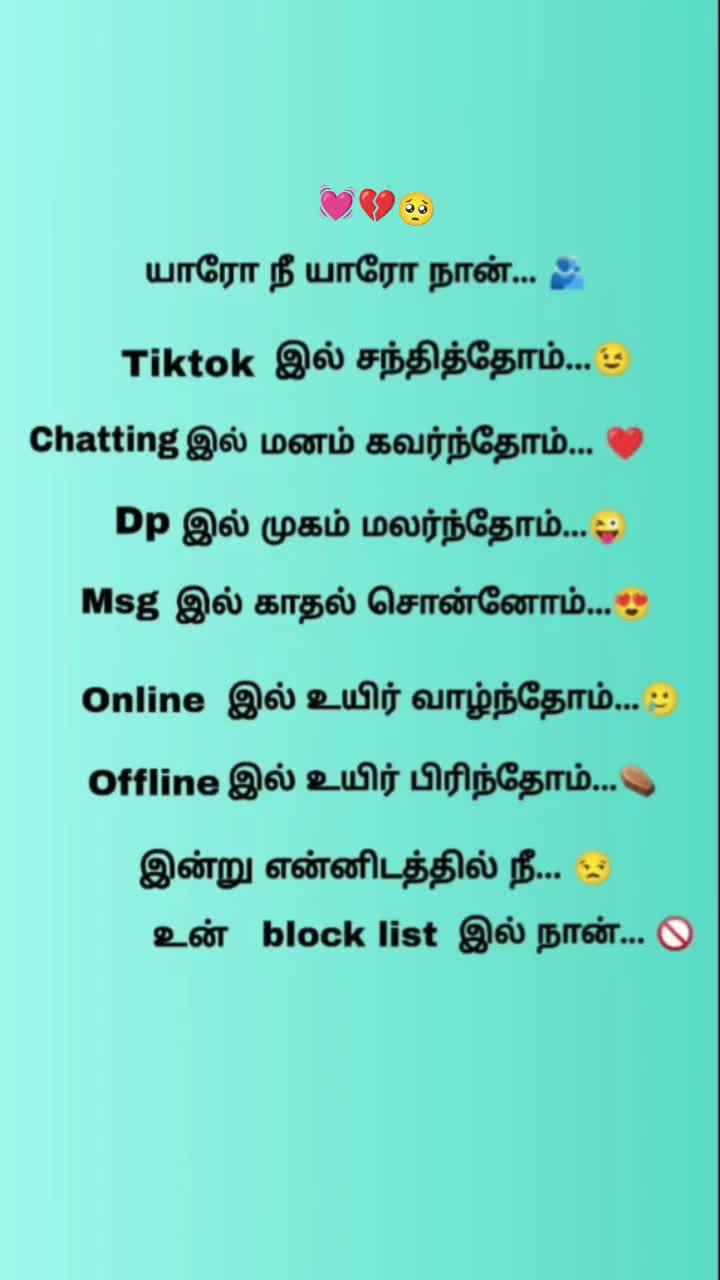 @🐾Meow 😻 kutty🐾