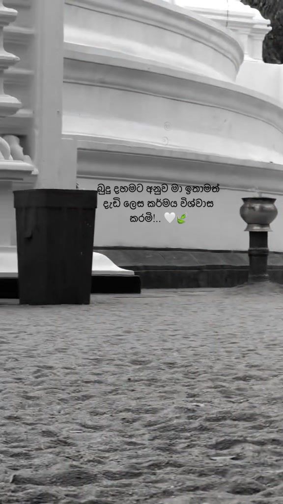 @_thima_official_