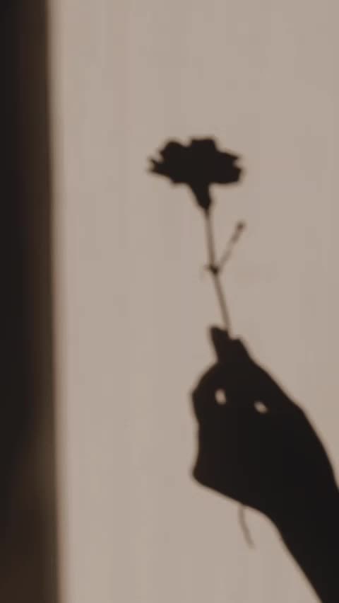 @🌸