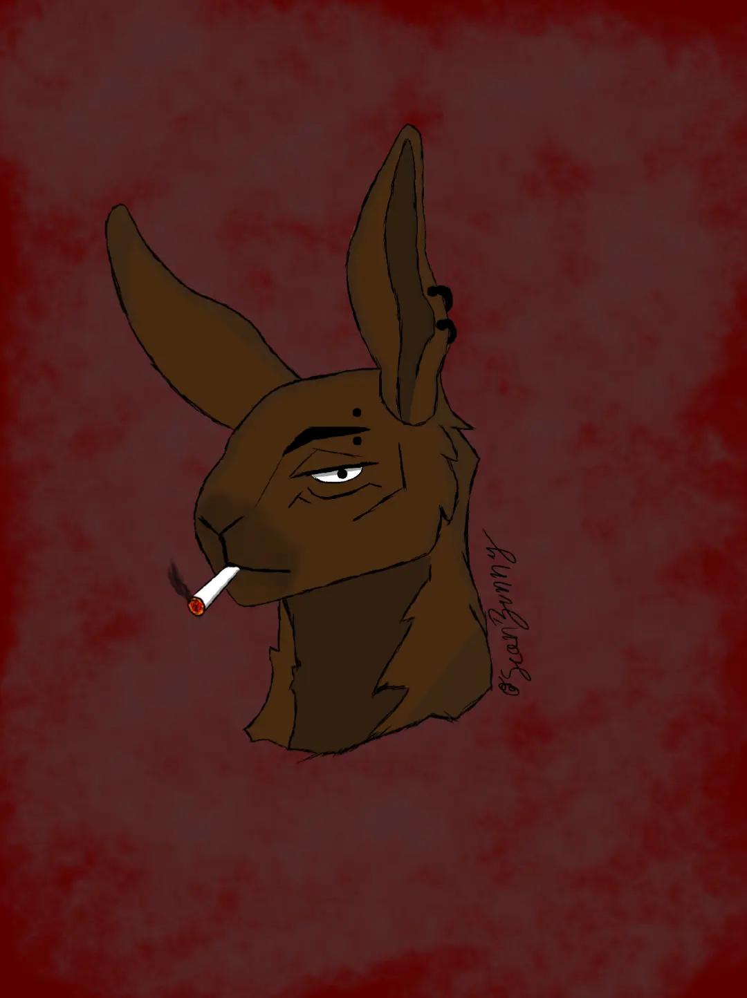 @&diams;ScanBunny&diams;