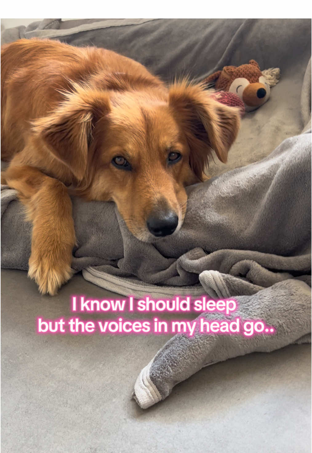 @Elisa & Sunny 🐶
