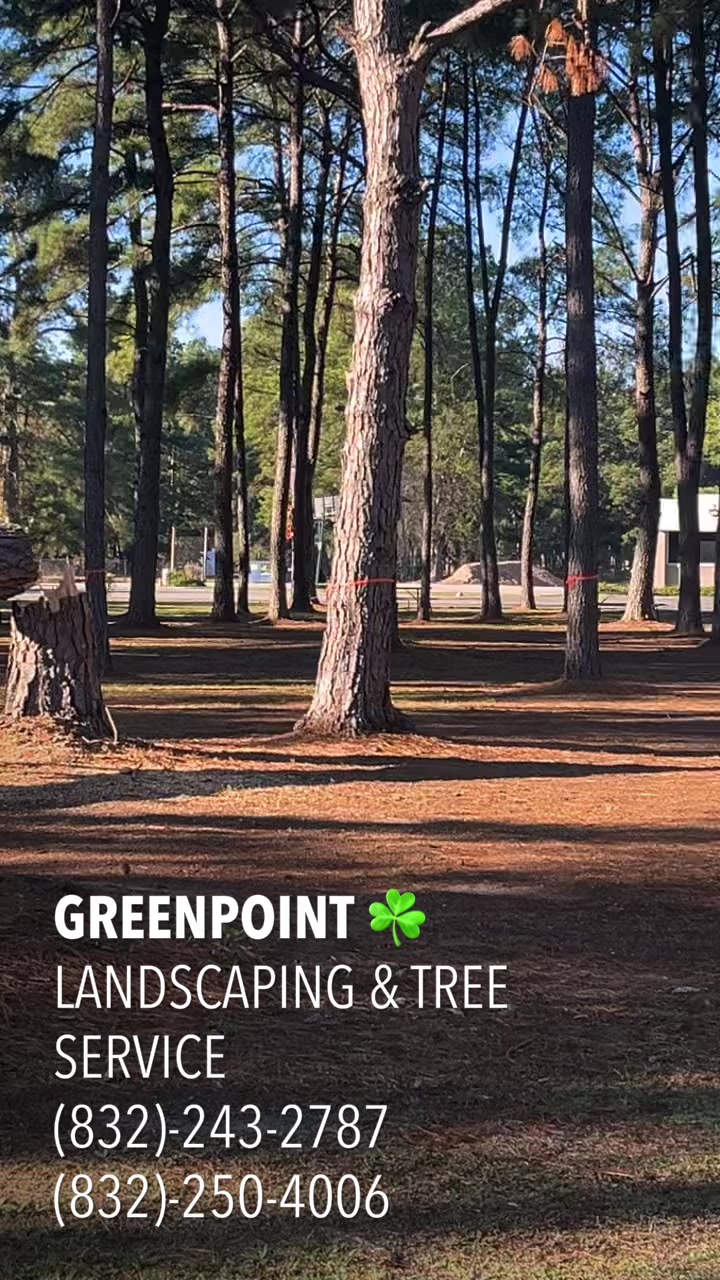 @GREENPOINT Landscaping &amp; Tree