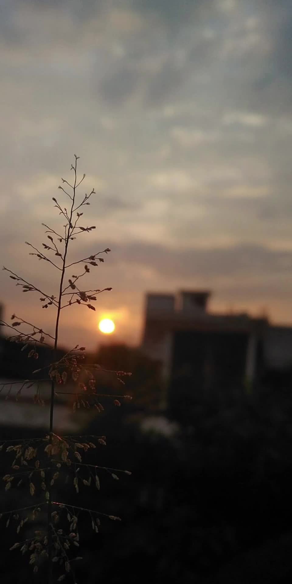 @Faqiiiiih