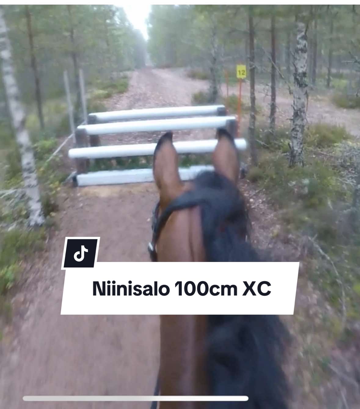 @Mansikkamäki Eventing