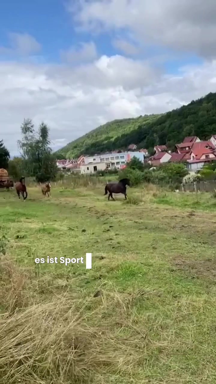 @lisaaa ✨🐑
