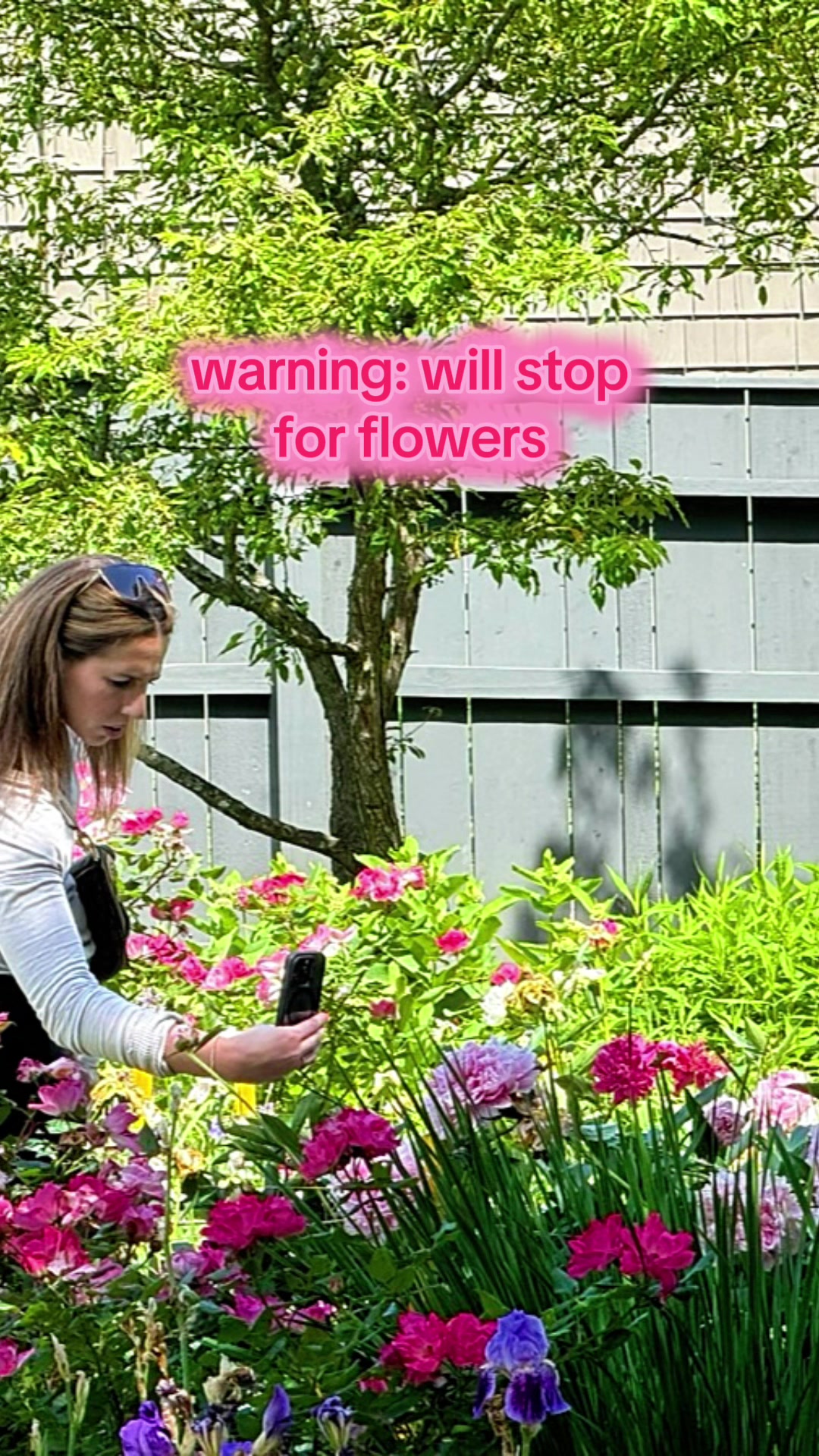 @Lauren