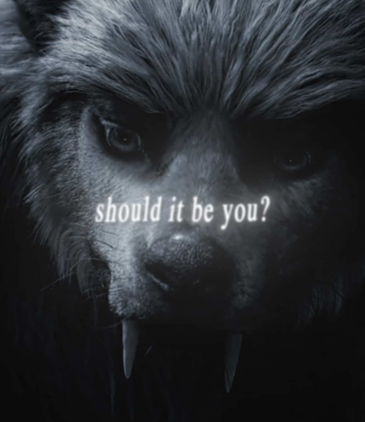 @tee 🐺