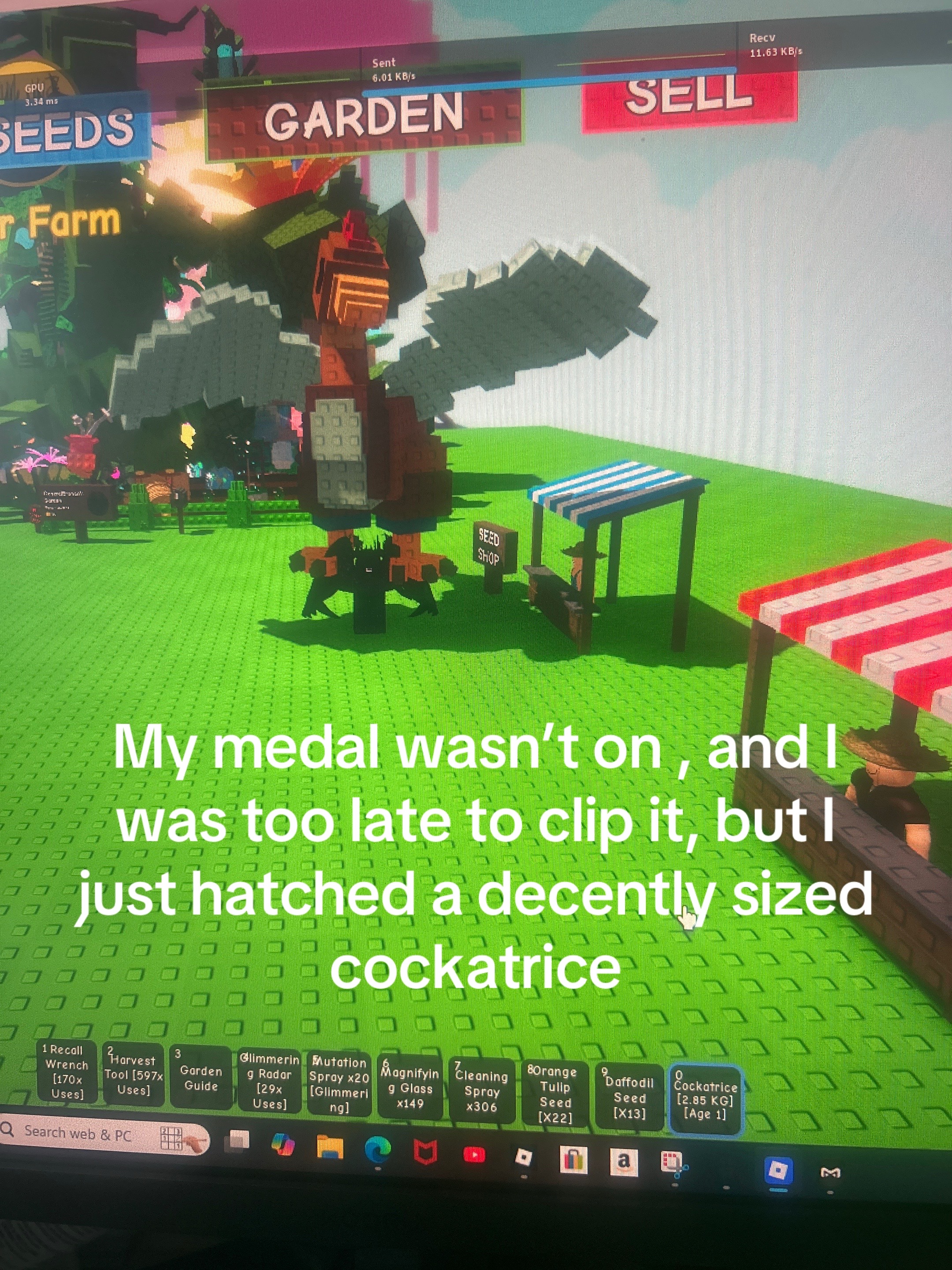 @BroncoPhoenixGod