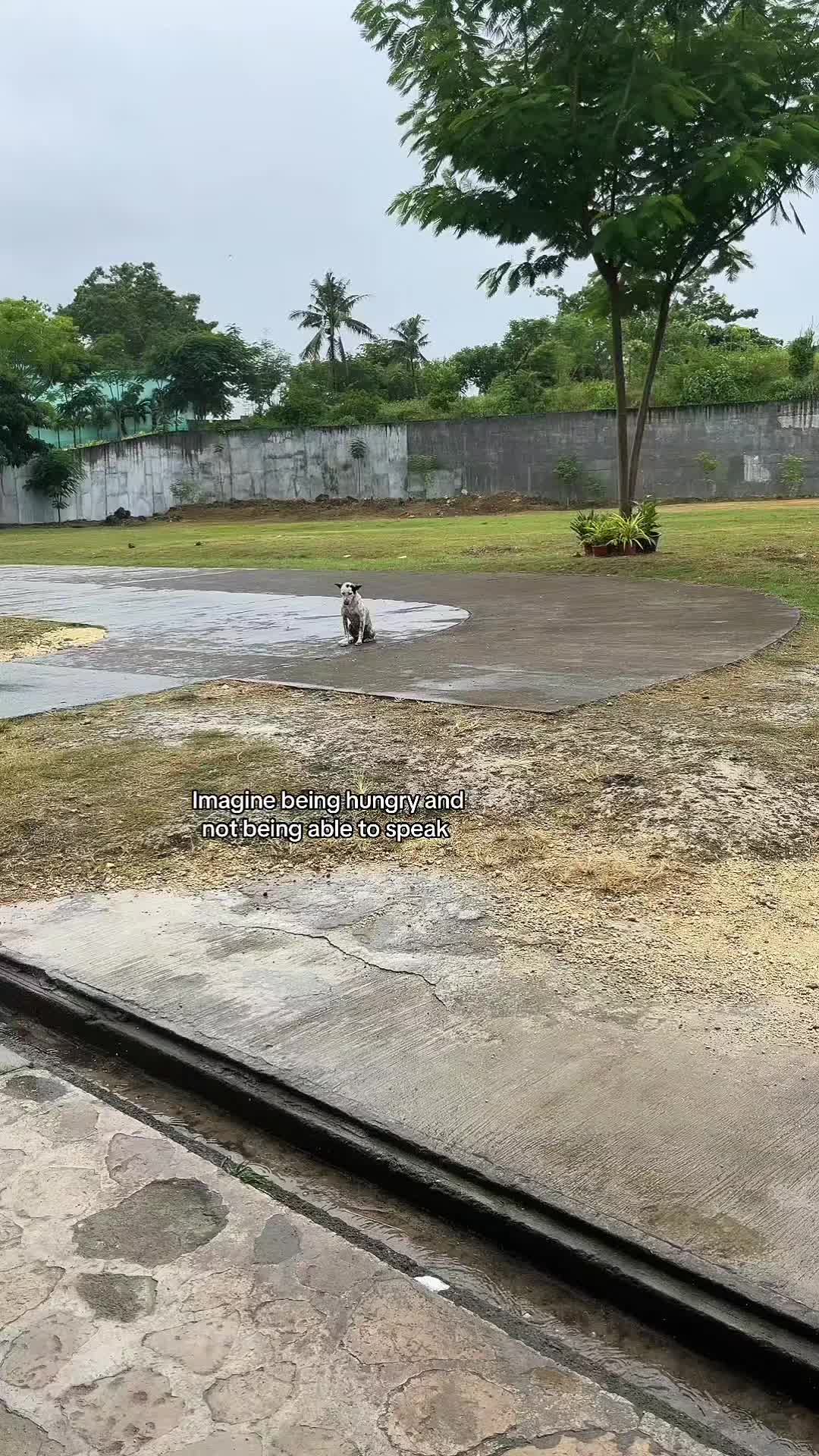 @WildwonderzZzz