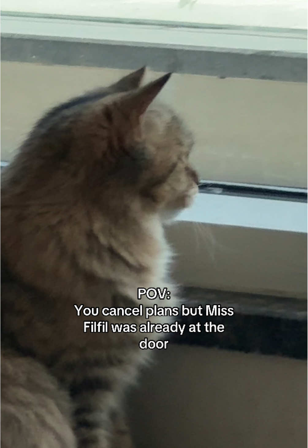 @Miss Filfil