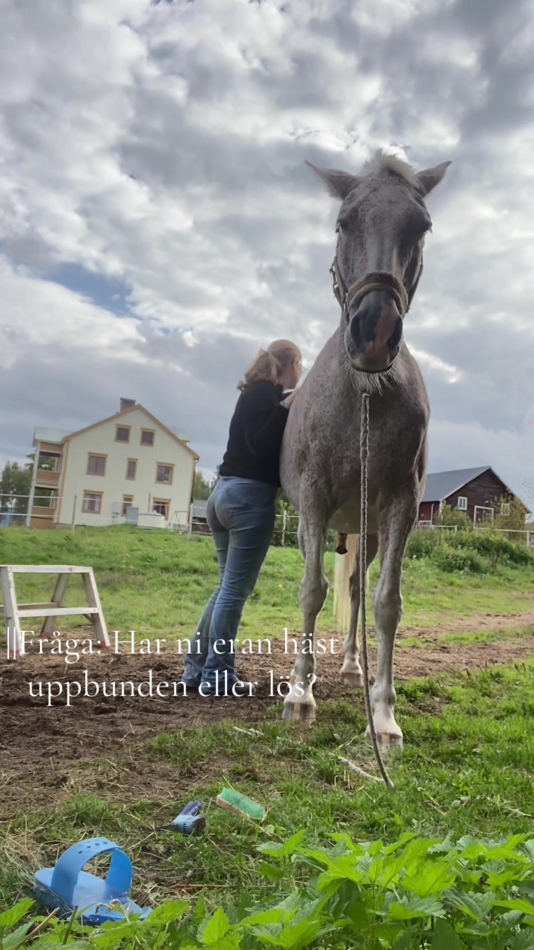@Linn&eacute;a Palm✨🤍