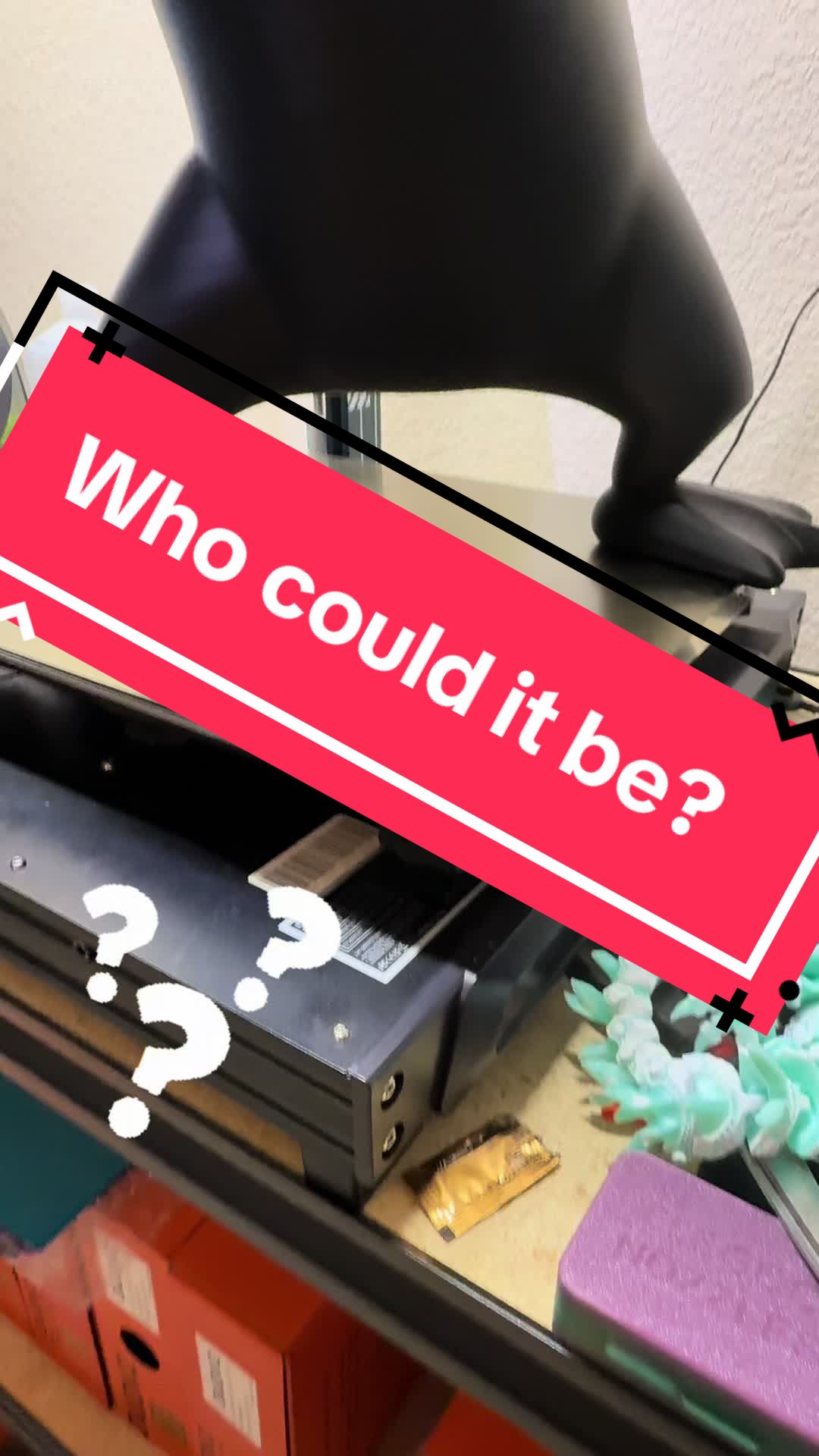 @B1onic T3ddy