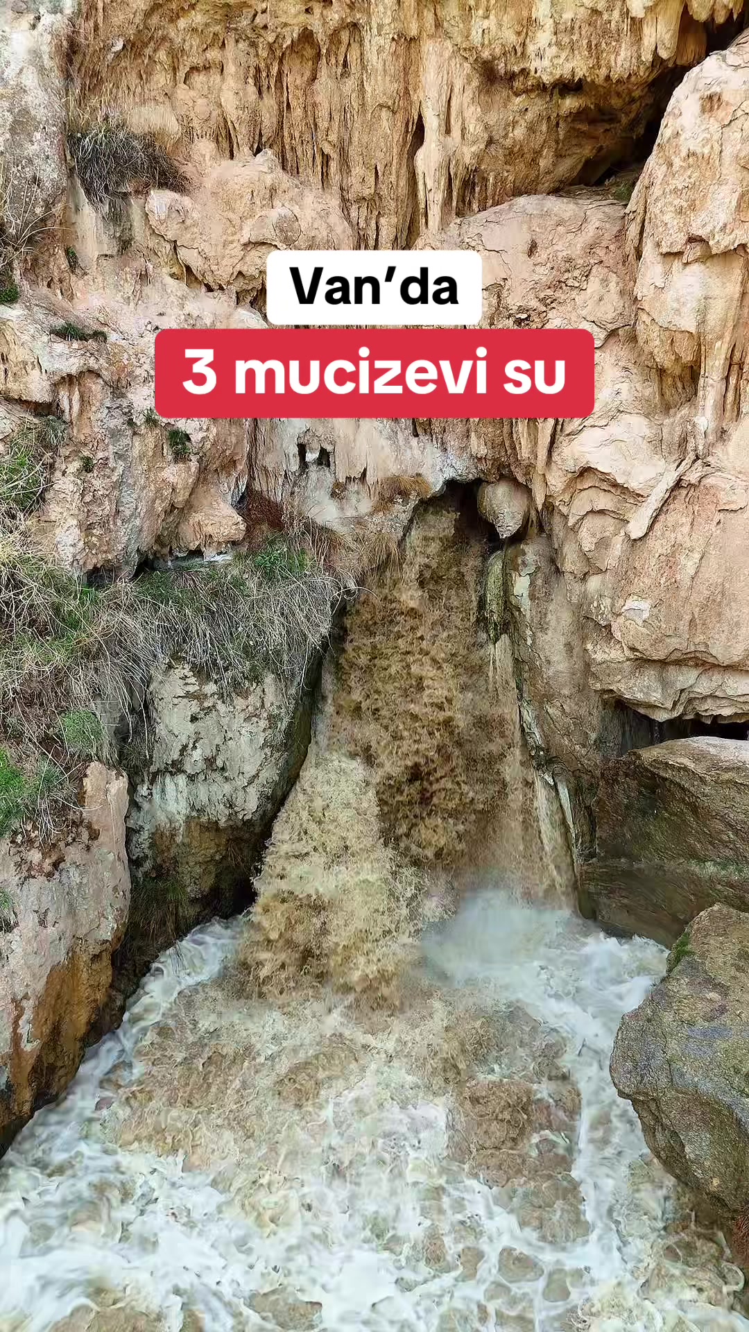 @Muzaffer Salcıoğlu
