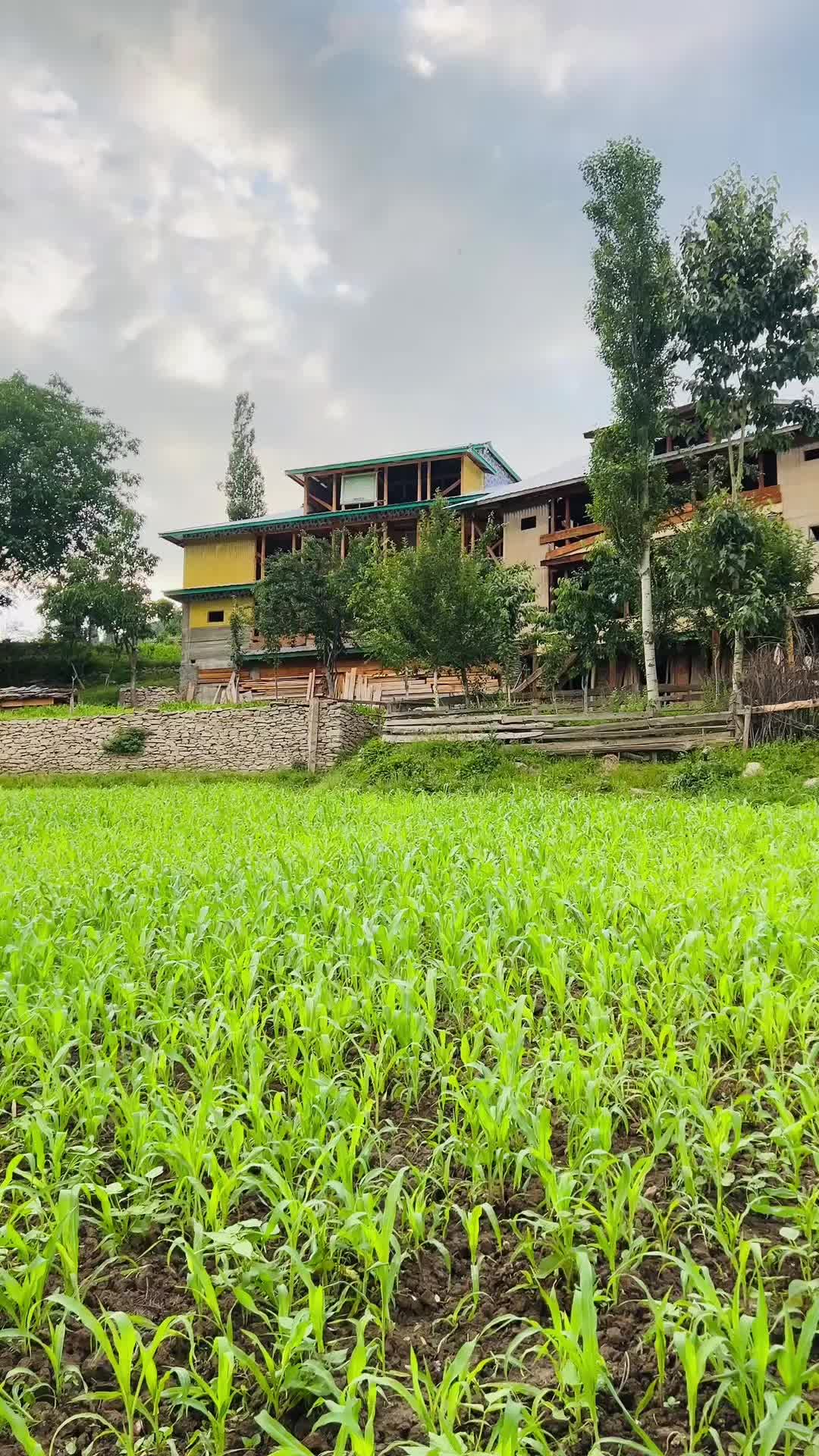 @Himalaya Trips & Tours