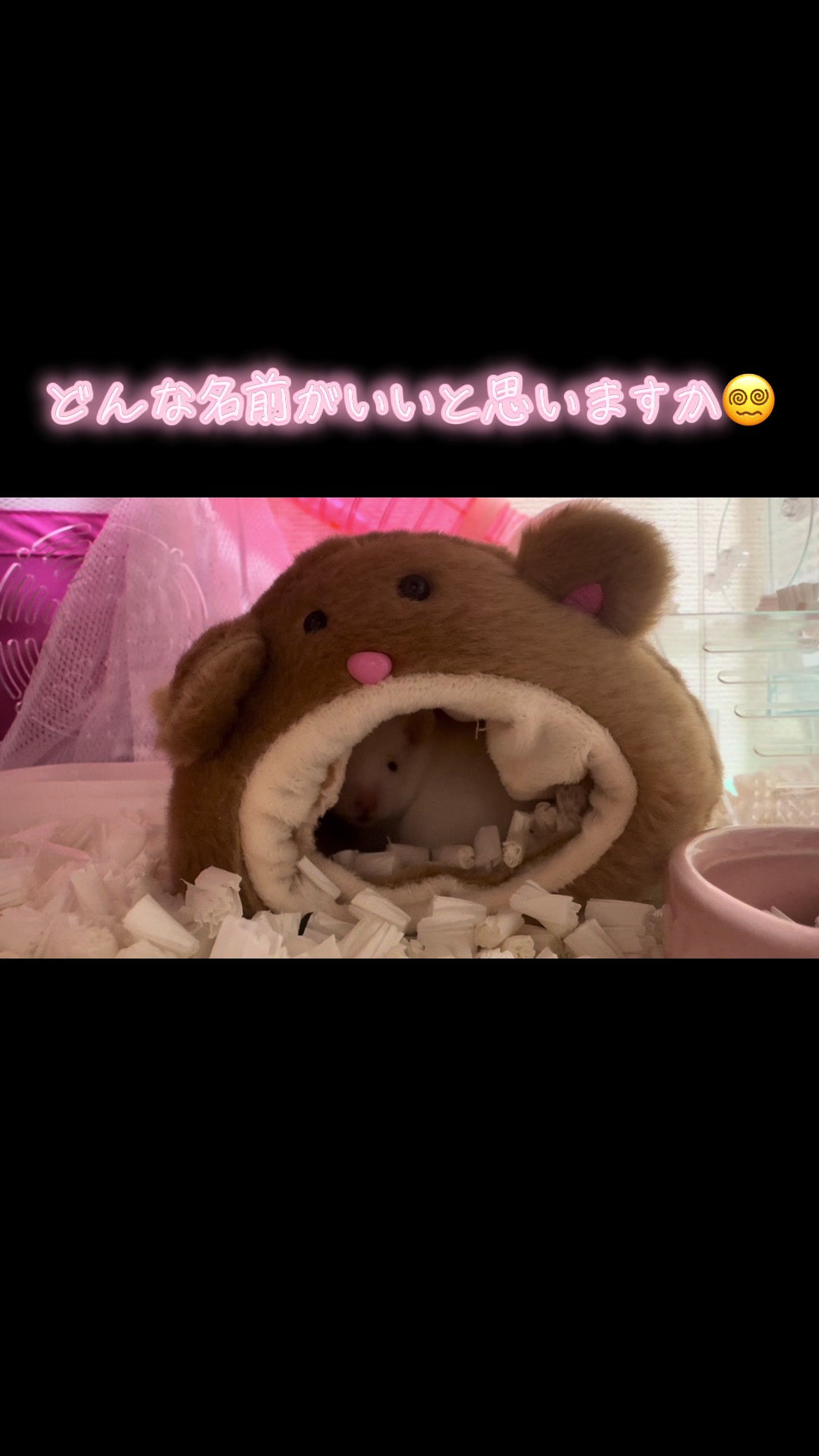@田舎のネズミ
