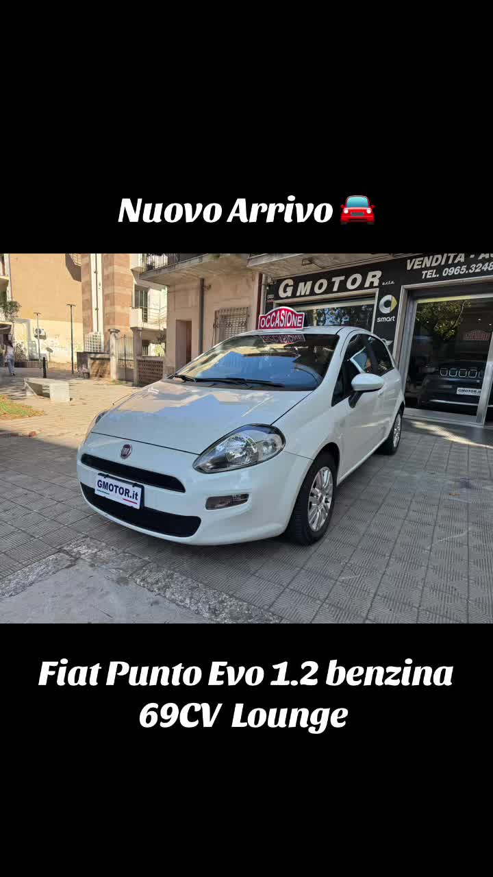@gmotorsrls