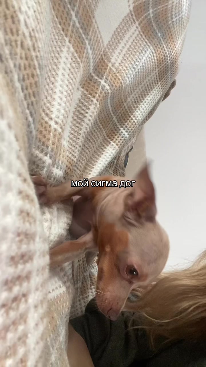 @не милашка