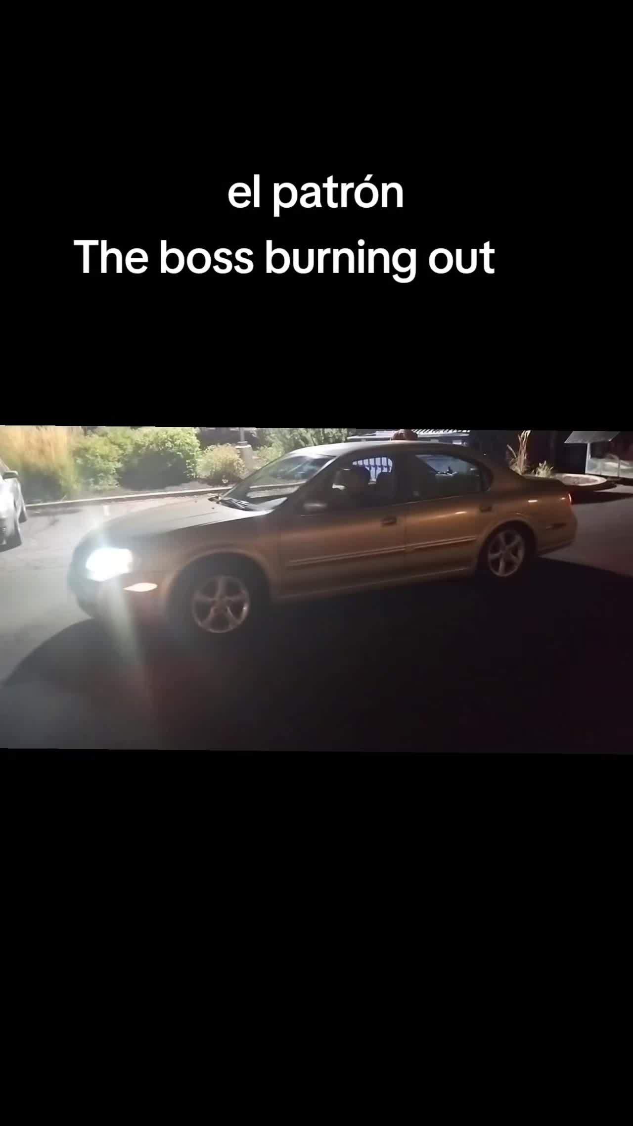 @cesar503🐅🇺🇸🇸🇻