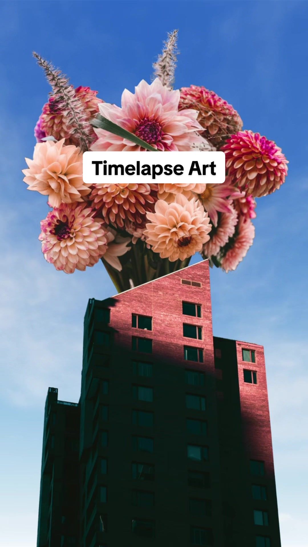 @stumpxcore