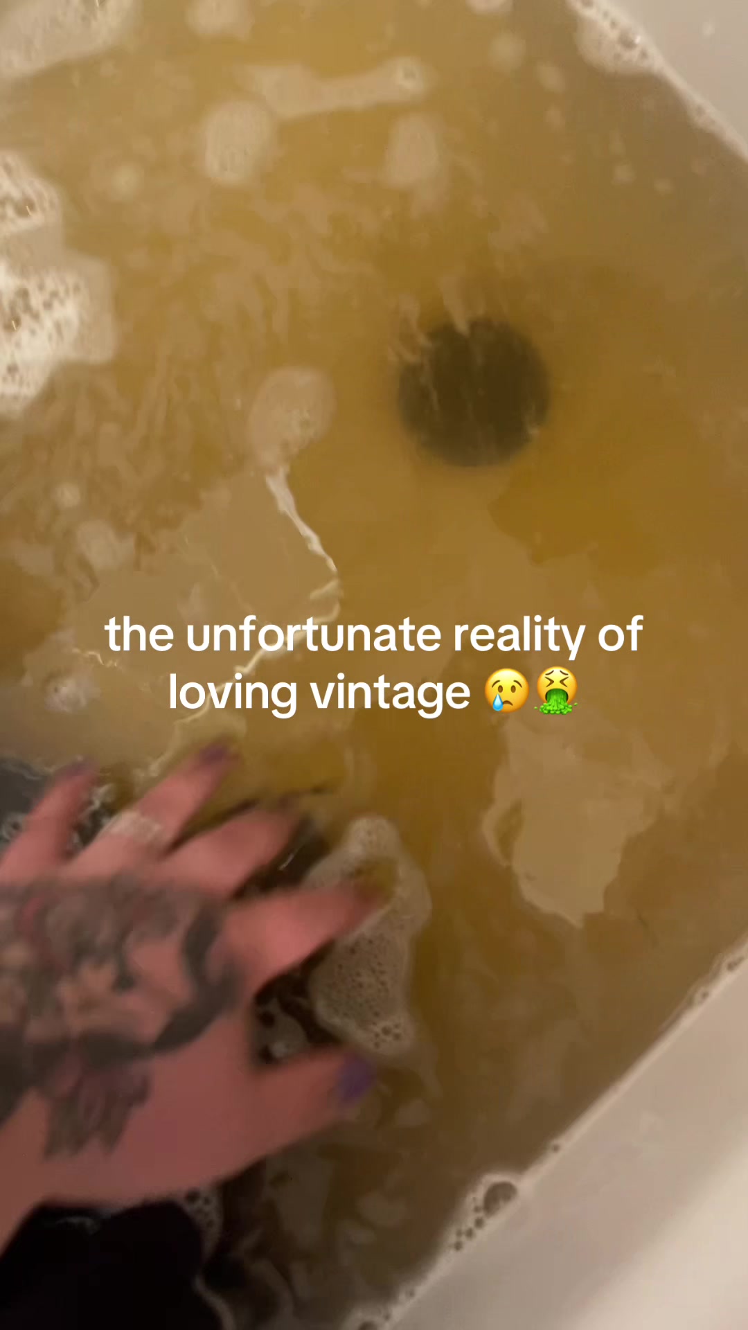 @cookynplanty