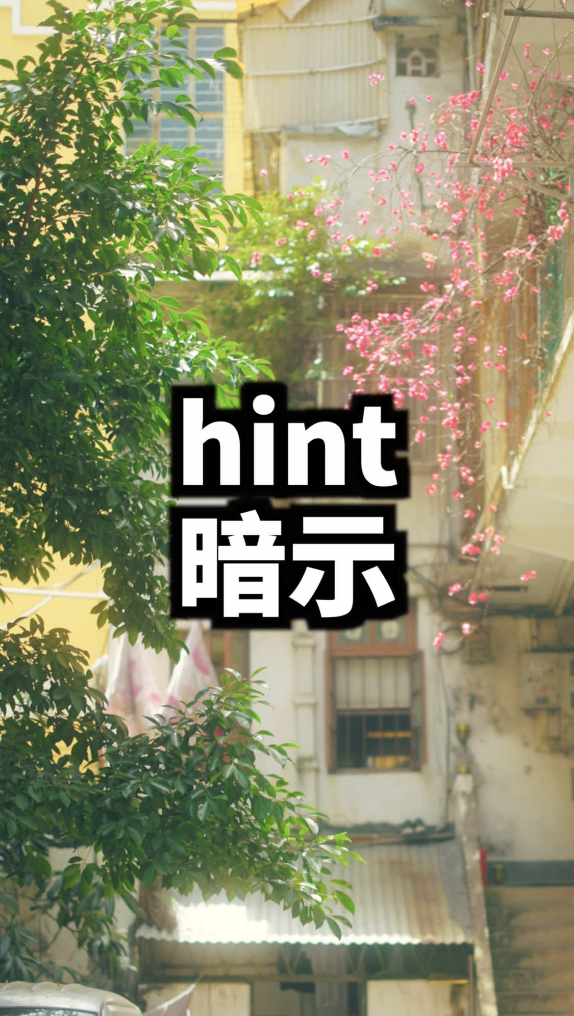 @Mr.Lu 卢