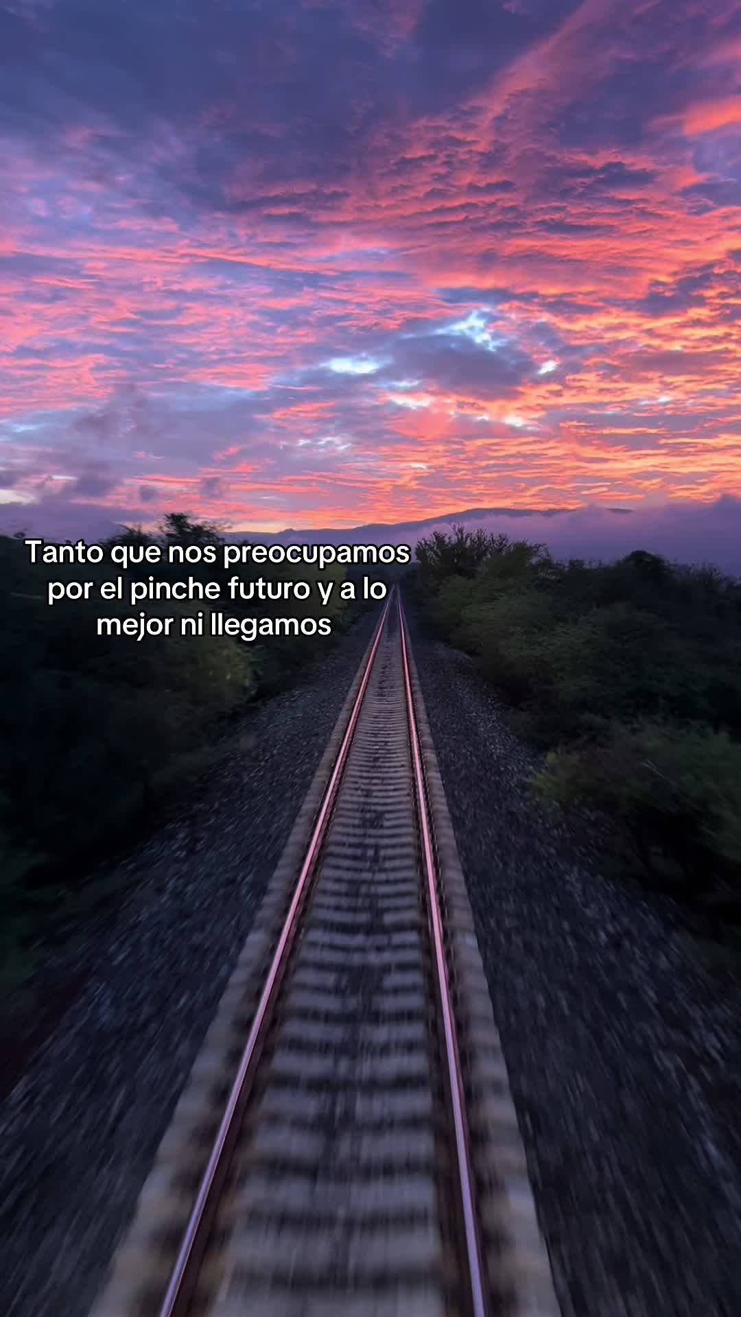 @elsr.deltren