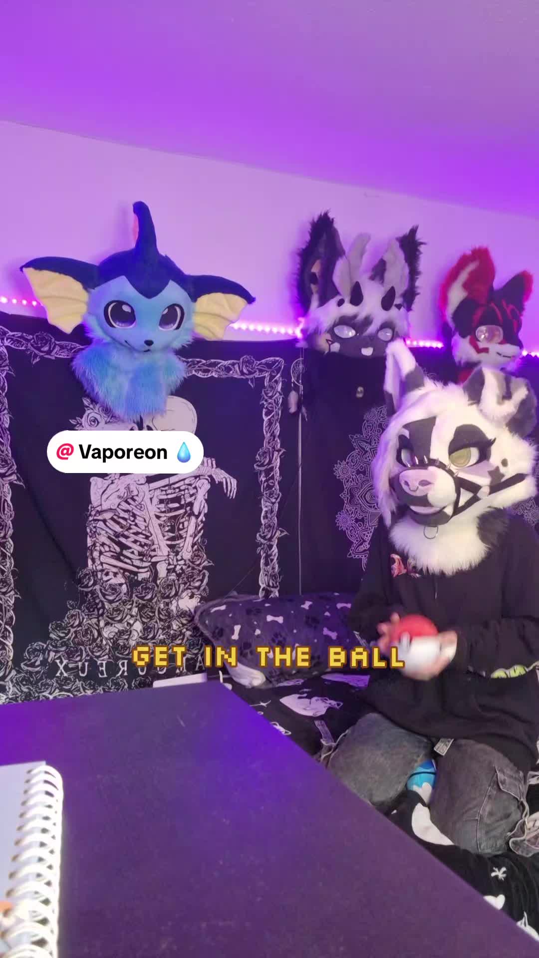 @Bailey (lilpixiekitten)
