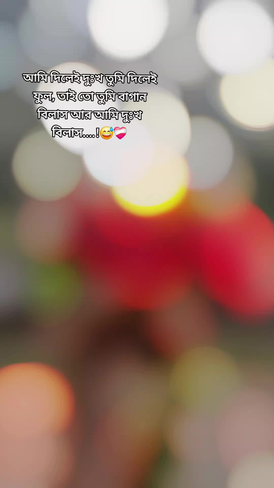 @rafia_kabir