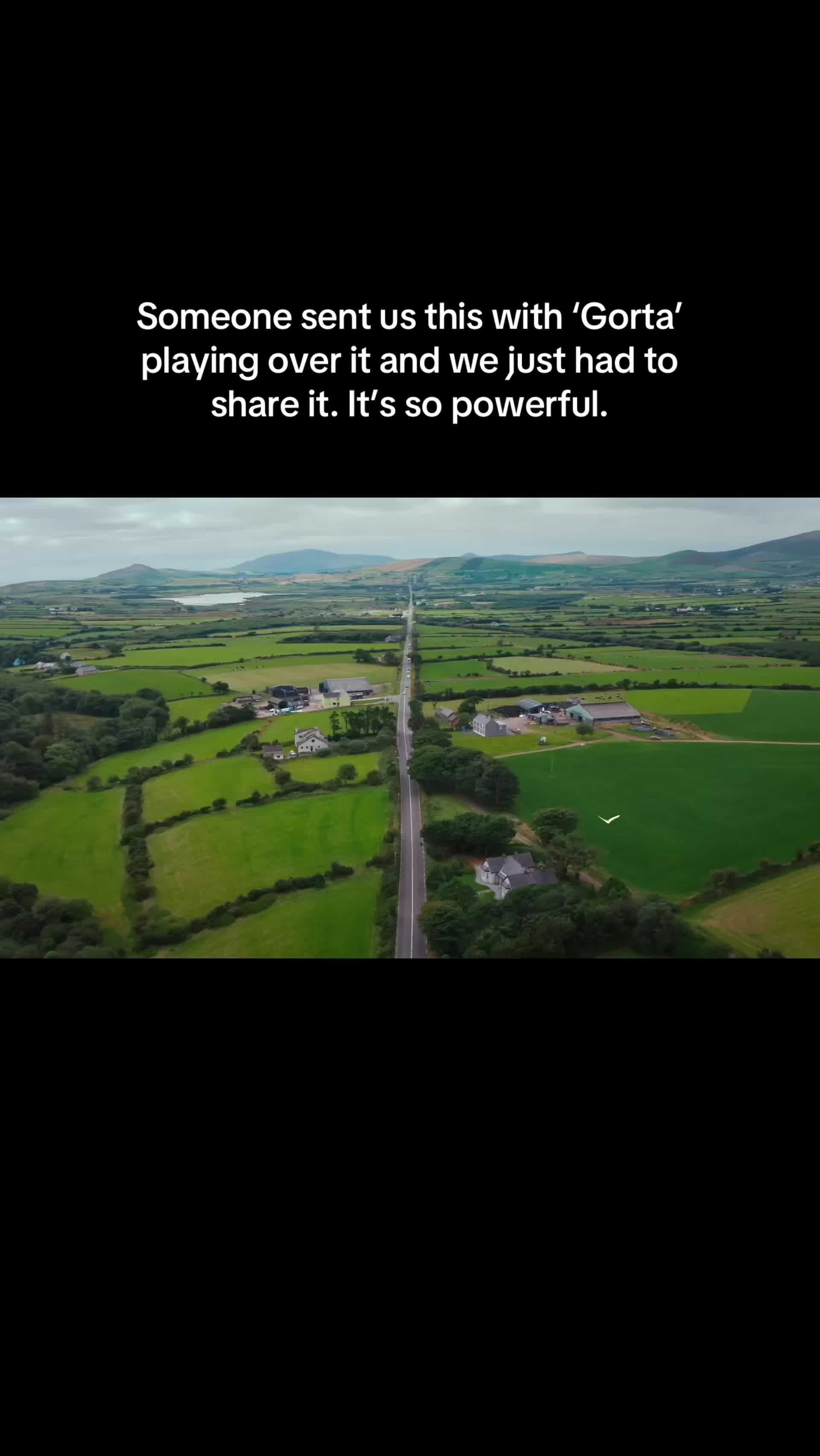 @Chasing Abbey