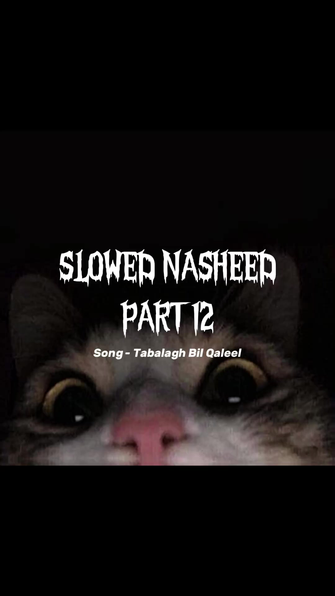 @Nasheed