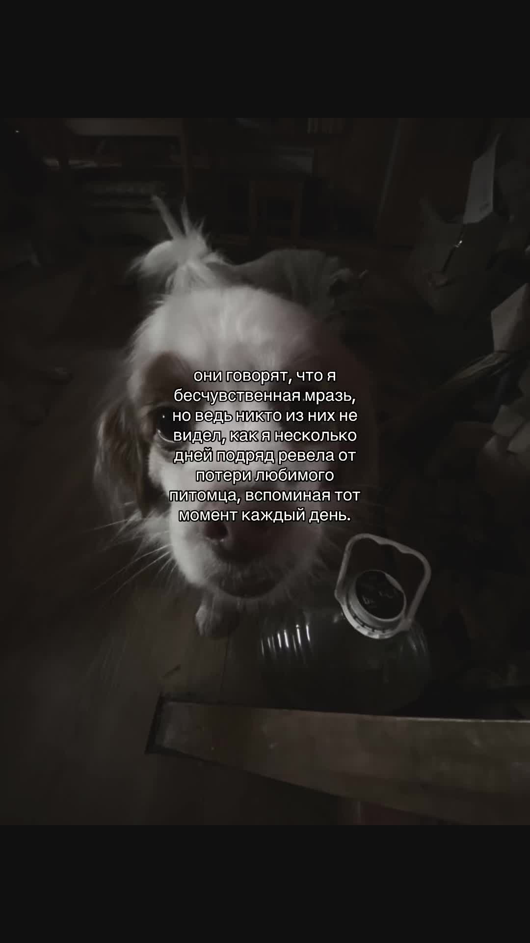 @Алёнка